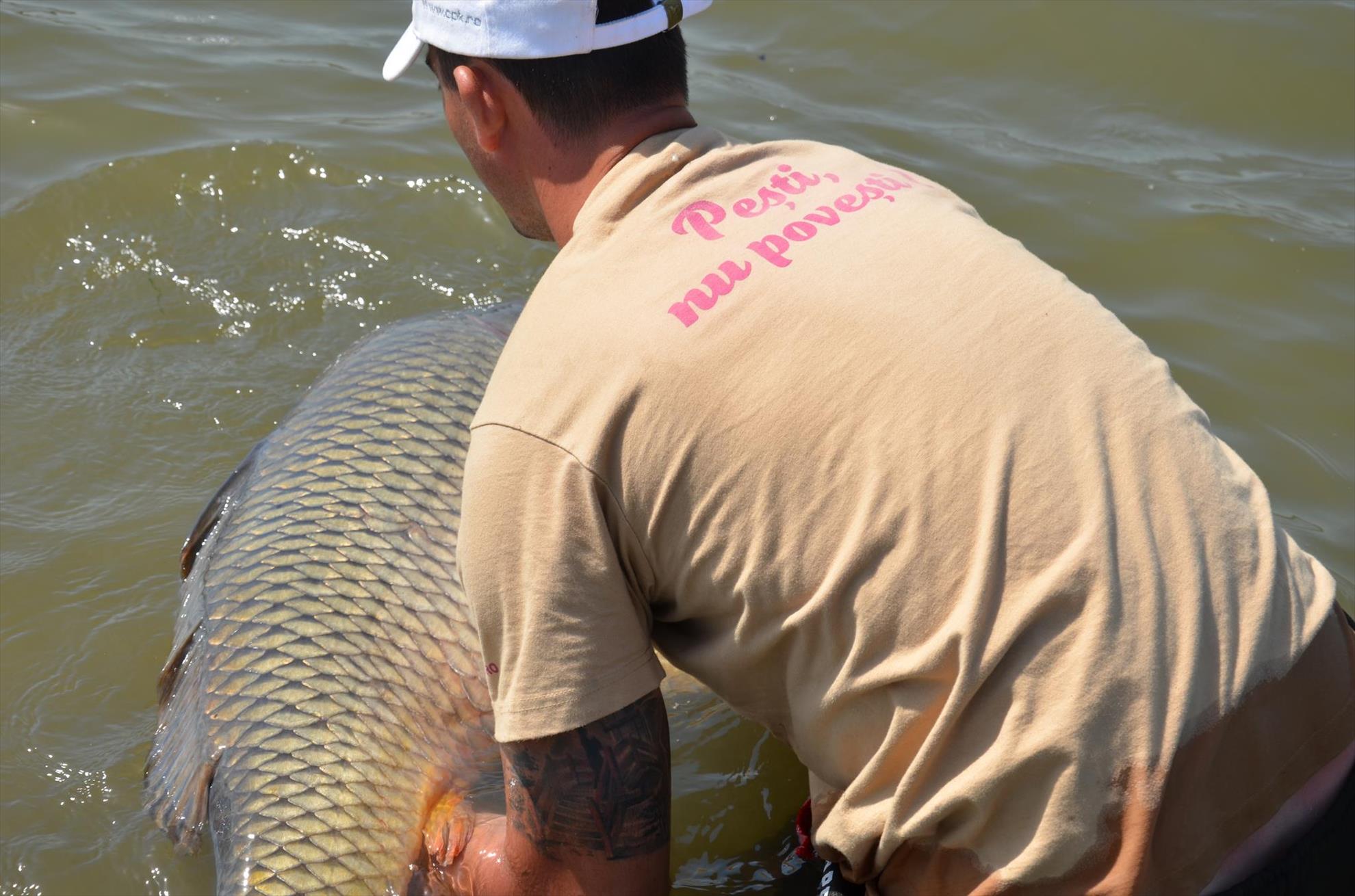 crapi de sarulesti - 14625916558758811400611477882519o.jpg